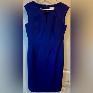 Calvin Klein Dress Sz 10